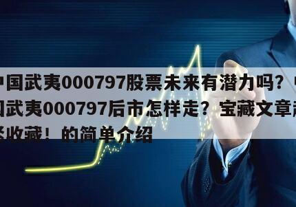 中國武夷000797股票未來有潛力嗎？中國武夷000797后市怎樣走？寶藏文章趕緊收藏！的簡單介紹