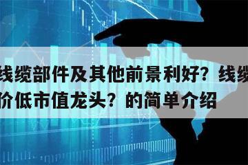 為什么線纜部件及其他前景利好？線纜部件及其他低價低市值龍頭？的簡單介紹