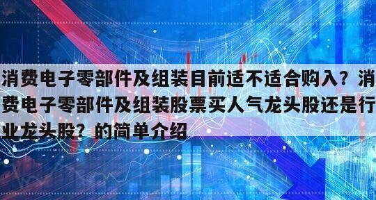 消費電子零部件及組裝目前適不適合購入？消費電子零部件及組裝股票買人氣龍頭股還是行業龍頭股？的簡單介紹
