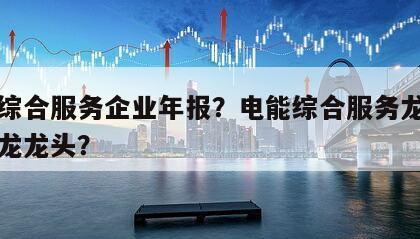 電能綜合服務企業年報？電能綜合服務龍頭和板塊龍龍頭？