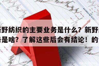 包含新野紡織的主要業務是什么？新野紡織主要業務是啥？了解這些后會有結論！的詞條