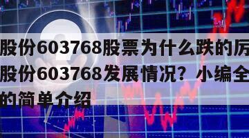 常青股份603768股票為什么跌的厲害？常青股份603768發展情況？小編全面測評！的簡單介紹