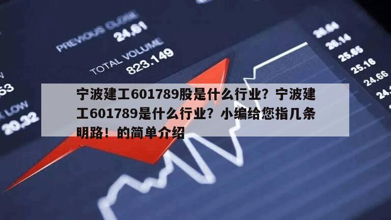 寧波建工601789股是什么行業？寧波建工601789是什么行業？小編給您指幾條明路！的簡單介紹