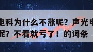 包含聲光電科為什么不漲呢？聲光電科股票為什么不漲呢？不看就虧了！的詞條