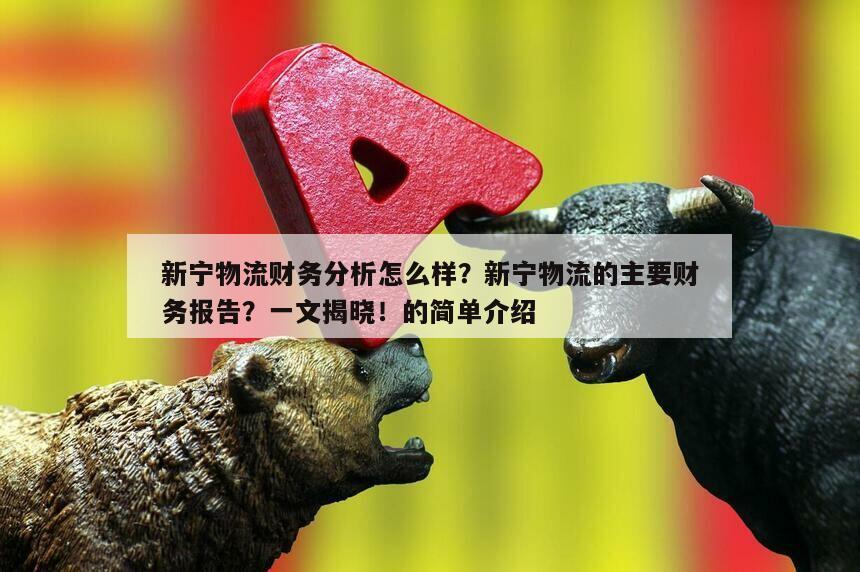 新寧物流財務分析怎么樣？新寧物流的主要財務報告？一文揭曉！的簡單介紹