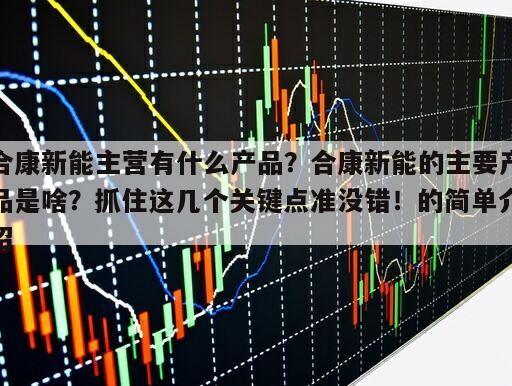 合康新能主營有什么產品？合康新能的主要產品是啥？抓住這幾個關鍵點準沒錯！的簡單介紹