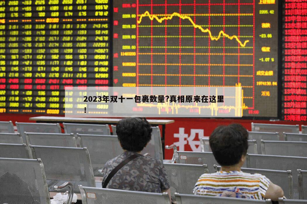 2023年雙十一包裹數量?真相原來在這里！