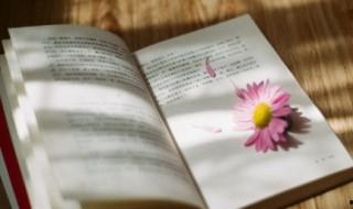 一句正能量的話問早安 早安正能量問候語簡短一句話