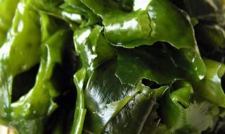 裙帶菜過期了可以吃嗎 裙帶菜發霉了還可以吃嗎
