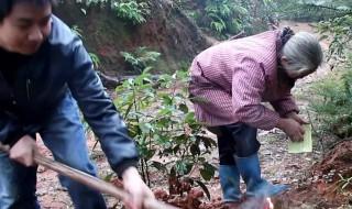幫撒紙錢有什么禁忌嗎 幫撒紙錢的禁忌
