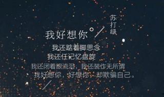 oppor9桌面歌詞 怎么在oppor9桌面上顯示歌詞