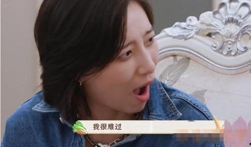 岳云鵬說李斯丹妮腿粗不適合跳舞是怎么回事