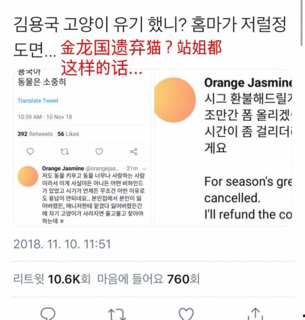 金龍國虐貓事件是怎么回事