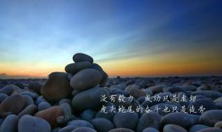 努力的意義正能量語句 努力的意義正能量語句分享