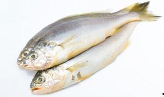 咸魚發霉了怎么處理 咸魚發霉了如何處理