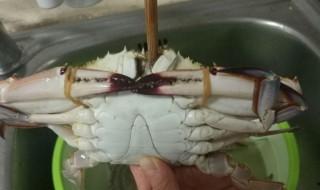 梭子蟹剛死了可以吃嗎 梭子蟹死了可以吃嗎