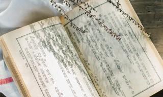 一寧名字寓意 一寧名字寓意是什么