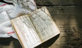 沙漠中的綠洲這個題目為什么好 沙漠中的綠洲這個題目怎么樣