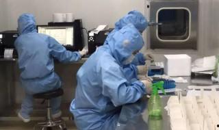 濟南現在做核酸檢測多少錢一個人 濟南現在做核酸檢測的費用