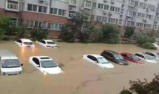 泡水車為什么不能要 泡水車不能要的原因