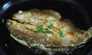 香煎華子魚怎樣做？具體步驟如下