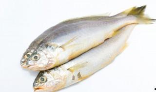 風干大黃魚常溫可以放多久，干黃魚要蒸多久