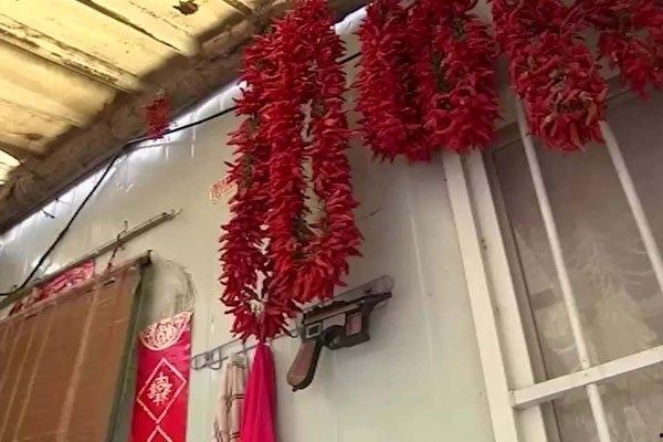 李永志中國辣王是真吃嗎(中國吃辣椒大王李永志)