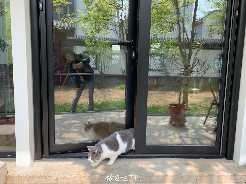 趙子琪家的別墅在北京哪里？趙子琪為什么離