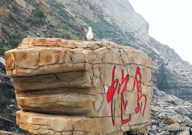 大連蛇島有什么來歷,上面蛇真的很多嗎? 大連蛇島有什么來歷,上面蛇真的很多嗎?